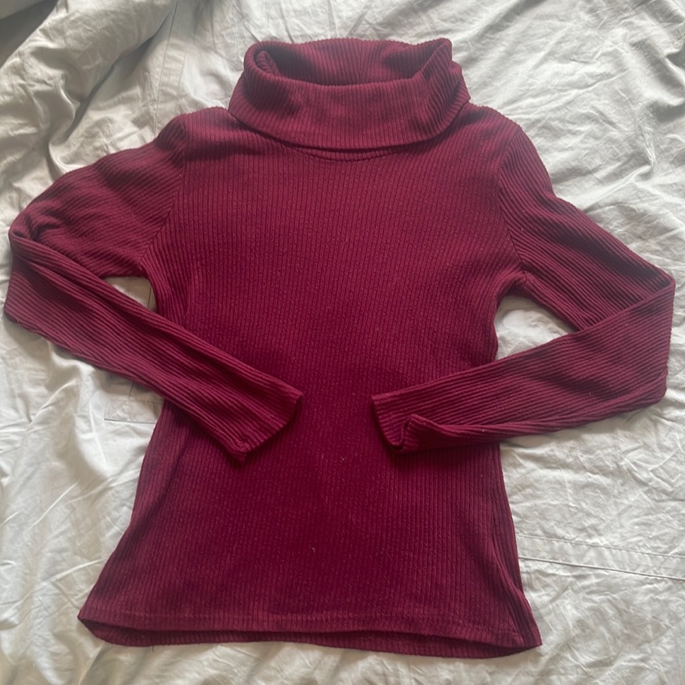 Ambiance Turtleneck Sweater